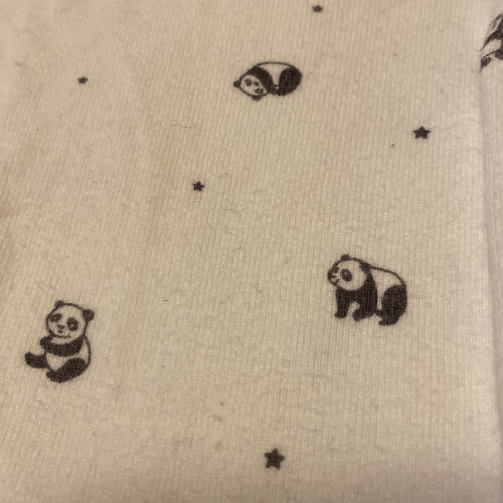 Carters Panda set - Picture 2 of 2